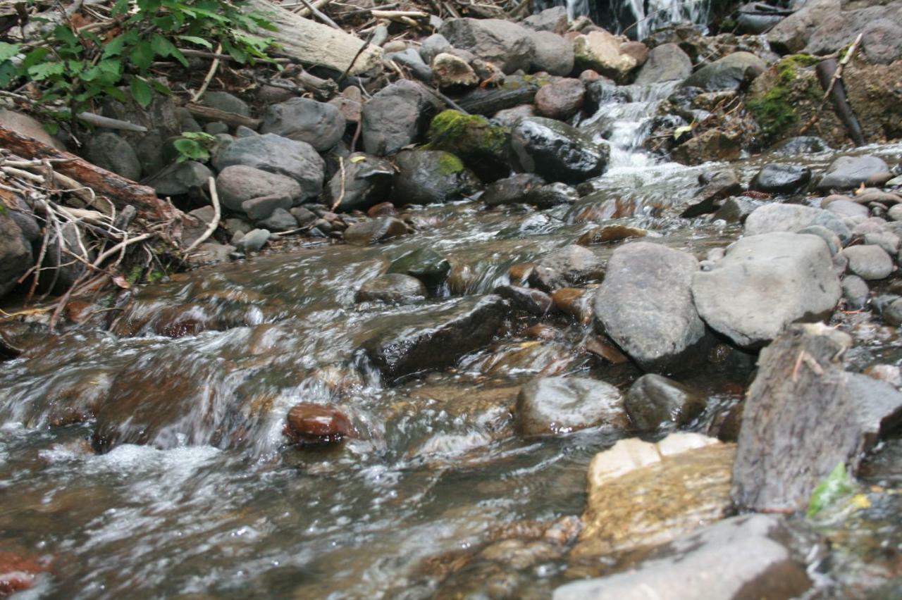 Wapiti Crossing Villa Eksteriør bilde